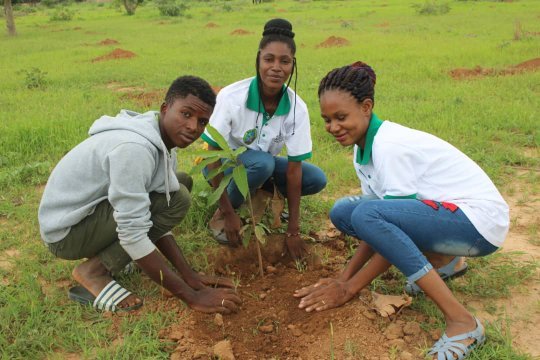 Participation des femmes